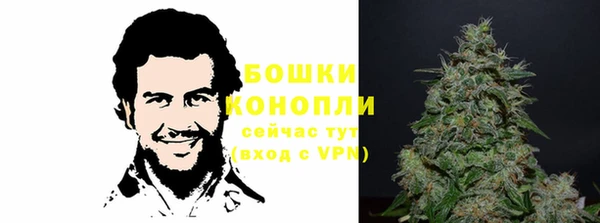 мдпв Няндома
