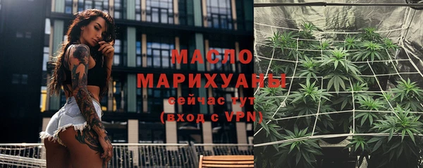 мдпв Няндома