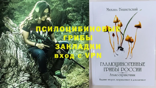 бутират Нязепетровск