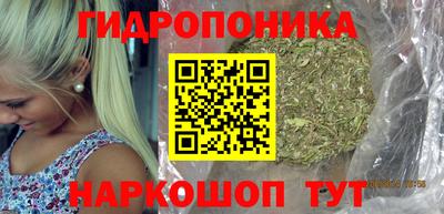 ПСИЛОЦИБИНОВЫЕ ГРИБЫ Заводоуковск