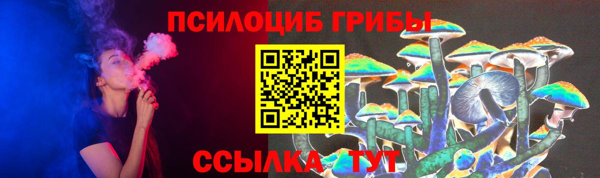 Новосибирск  Псилоцибиновые грибы Magic Shrooms  Вход с VPN  купить закладку  Псилоцибиновые грибы ЛСД 